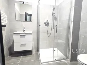 Pronájem bytu 1+1, Písek, Vladislavova, 40 m2