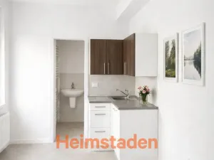 Pronájem obchodního prostoru, Havířov - Město, Dělnická, 41 m2