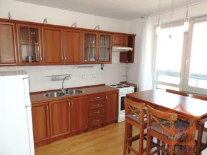 Pronájem bytu 1+kk, Hradec Králové, Palachova, 36 m2