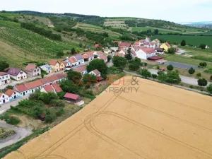 Prodej vinného sklepa, Bořetice, 120 m2