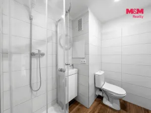 Prodej bytu 1+kk, Děčín - Děčín II-Nové Město, Kamenická, 19 m2