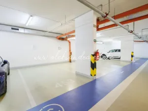 Pronájem bytu 2+kk, Praha - Žižkov, Olšanská, 61 m2