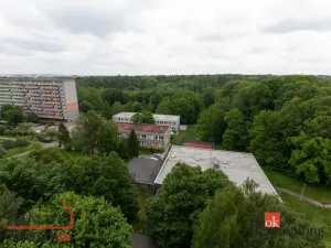 Pronájem bytu 1+kk, Ostrava - Výškovice, Výškovická, 27 m2