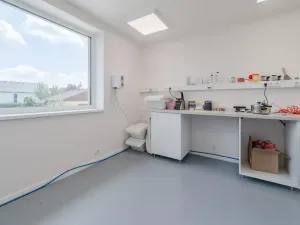 Prodej vícegeneračního domu, Trubín, Za Úvozem, 324 m2