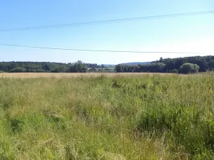 Dražba louky, Drahotín, 855 m2