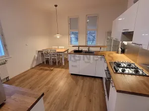 Pronájem bytu 3+1, Brno, Wurmova, 115 m2