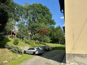 Prodej apartmánu, Želnava, 55 m2