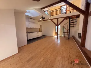 Pronájem bytu 2+kk, Opava - Předměstí, Mánesova, 67 m2