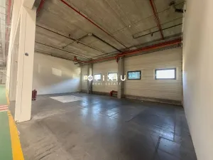 Pronájem skladu, Lozorno, Slovensko, 3600 m2