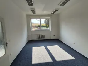 Pronájem kanceláře, Praha - Nusle, V Občanském domově, 37 m2