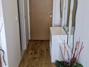 Pronájem bytu 1+1, Ostrava - Svinov, Evžena Rošického, 38 m2