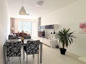Pronájem bytu 1+kk, Olomouc, Peškova, 57 m2