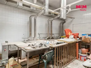 Prodej výrobních prostor, Děčín - Děčín VI-Letná, Dělnická, 1250 m2