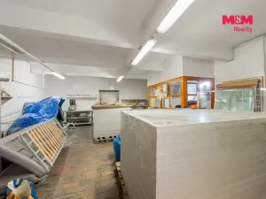 Prodej výrobních prostor, Děčín - Děčín VI-Letná, Dělnická, 1250 m2