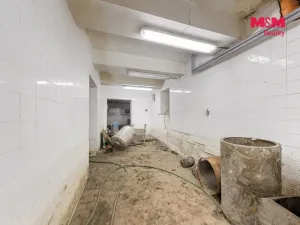 Prodej výrobních prostor, Děčín - Děčín VI-Letná, Dělnická, 1250 m2