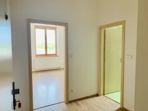 Pronájem bytu 1+kk, Mikulov, Bezručova, 30 m2