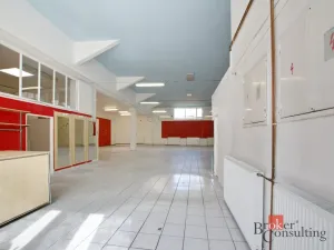 Pronájem obchodního prostoru, České Budějovice - České Budějovice 3, Otakarova, 400 m2