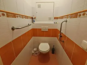 Prodej bytu 2+1, Česká Třebová, Trávník, 74 m2