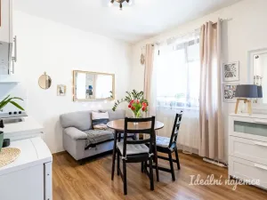 Pronájem bytu 1+kk, Praha - Hostivař, Vladycká, 28 m2