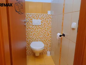 Prodej obchodního prostoru, Třebechovice pod Orebem, Pardubická, 293 m2
