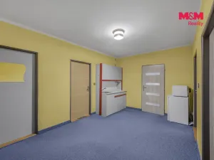 Prodej obchodního prostoru, Pardubice - Zelené Předměstí, Mikulovická, 330 m2