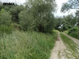 Prodej lesa, Rožmitál pod Třemšínem, 3871 m2