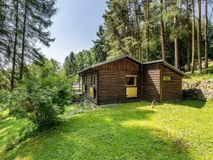 Prodej chaty, Boršov nad Vltavou, 30 m2