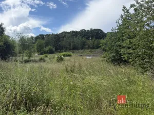 Prodej pozemku pro bydlení, Chomutov, 831 m2