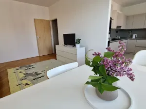 Pronájem bytu 2+kk, Brno, Trýbova, 54 m2