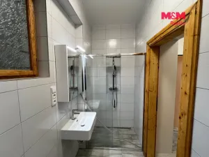 Pronájem bytu 1+1, Ostrava - Moravská Ostrava, Hrabákova, 41 m2