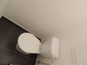 Pronájem bytu 1+1, Ostrava - Hrabůvka, Na Obecní, 39 m2
