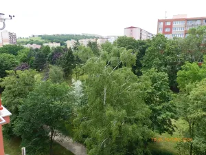 Pronájem bytu 2+kk, Most, Jaroslava Haška, 40 m2