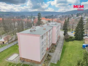 Pronájem bytu 2+1, Plasy, Stará cesta, 55 m2