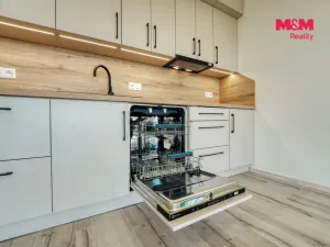 Pronájem bytu 1+kk, Plzeň - Litice, Srncová, 36 m2