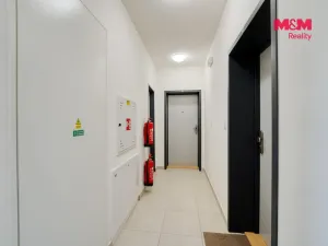 Pronájem bytu 1+kk, Plzeň - Litice, Srncová, 36 m2