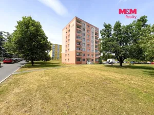 Pronájem bytu 2+1, Litoměřice - Předměstí, Družstevní, 53 m2