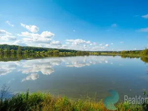 Prodej pozemku pro bydlení, Litvínovice - Šindlovy Dvory, 1006 m2