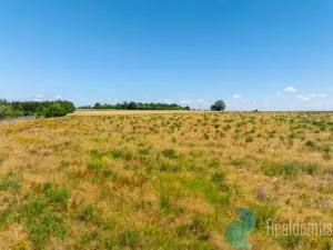 Prodej pozemku pro bydlení, Litvínovice - Šindlovy Dvory, 1010 m2