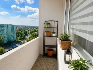 Prodej bytu 2+1, Jirkov, K. Marxe, 61 m2