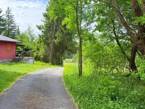 Prodej chaty, Borová, 53 m2