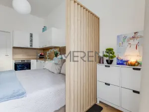 Pronájem bytu 1+kk, Praha - Nové Město, Žitná, 23 m2