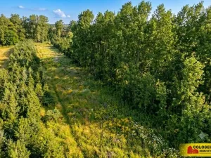 Prodej pole, Znojmo, 2970 m2