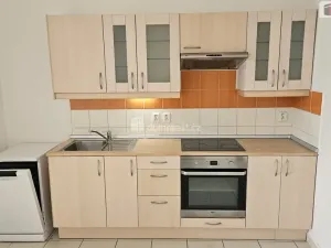 Pronájem bytu 1+1, Praha - Vinohrady, Italská, 65 m2