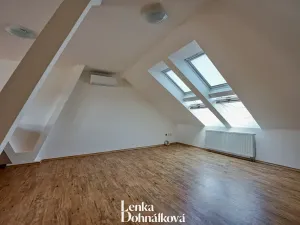 Pronájem bytu 3+kk, Hodonín, 115 m2