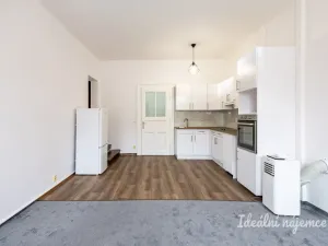 Pronájem bytu 2+kk, Praha - Nusle, Jaromírova, 58 m2