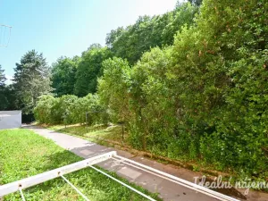Pronájem bytu 1+1, Brno, Jasanová, 34 m2
