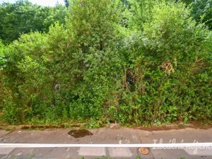 Pronájem bytu 1+1, Brno, Jasanová, 34 m2