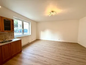 Pronájem bytu 1+kk, Praha - Libeň, Budilova, 39 m2