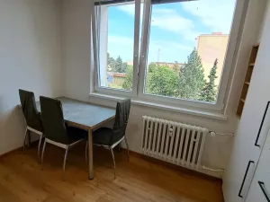 Pronájem bytu 2+1, Litovel, Novosady, 50 m2