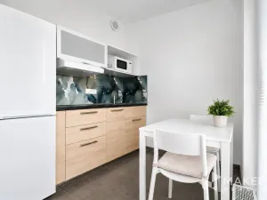 Prodej bytu 1+kk, Praha - Žižkov, Olgy Havlové, 38 m2